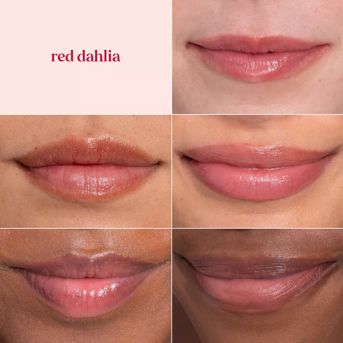 Burt'S Bees 8-Hour Hydrating Tinted Lip Balm - Red Dahlia - 0.15Oz/1Pk: Paraben & Sulfate-Free,